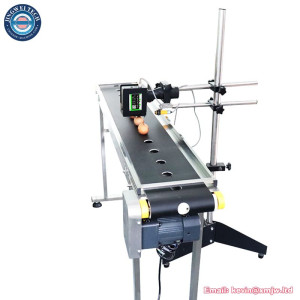 Inkjet Printer for Bottles & Eggs - 1500mm Conveyor Belt Production