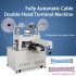 Fully Automatic Double-head Cable Terminal Machine  Cutting Line Stripping Crimping Machine